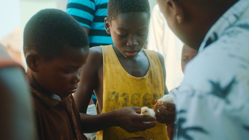 Children in Ghana