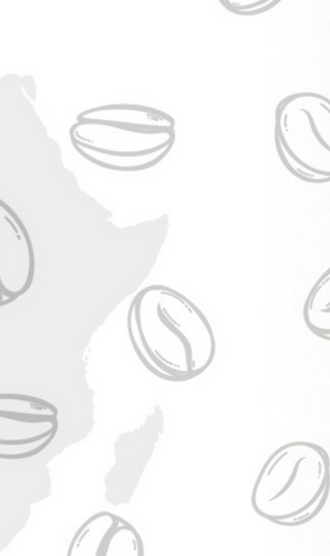 From seed to cup: How Princess Adeyinka Tekenah is making an impact in the coffee industry