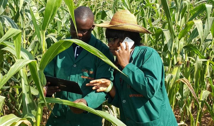 Smallholder agriculture in Africa