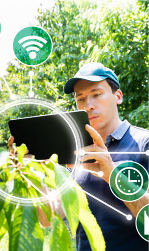 Rural Innovation Hackathon & Incubation Launches Open Call for Dominican Republic Entrepreneurs