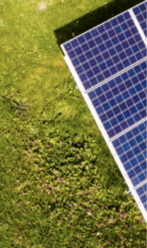 Health care and education are neglected