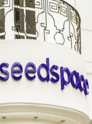 Cairo Seedspace