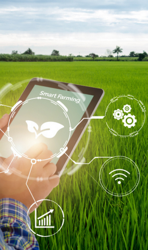 Hackathon Rural de Innovación e Incubación para Emprendedores en República Dominicana