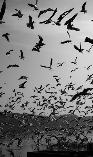 Seedstars joins The SUP Challenge to support startups in Thailand and the Philippines to reduce plas