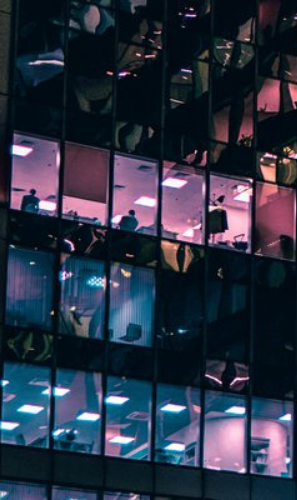 Investment Fund Sector